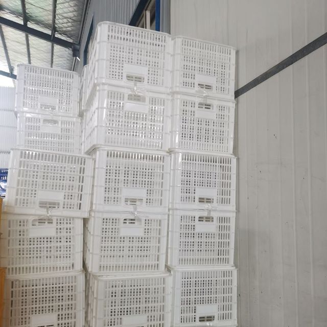 No 2 Plastic Turnover Basket